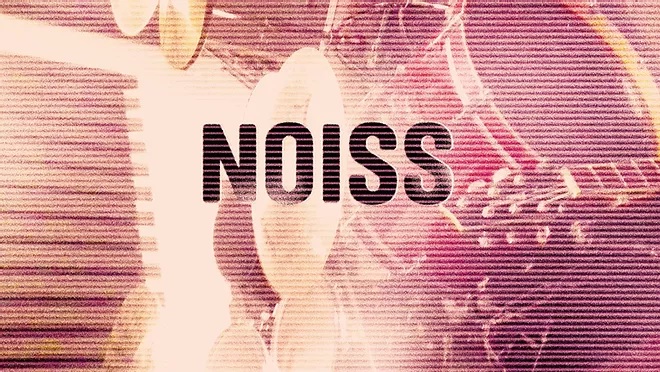 Noiss